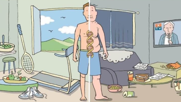 Image20260219-Epigenetic